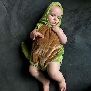 Infant (12-18M) Dinosaur Costume